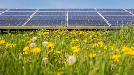 Foto von Heckert Solar GmbH