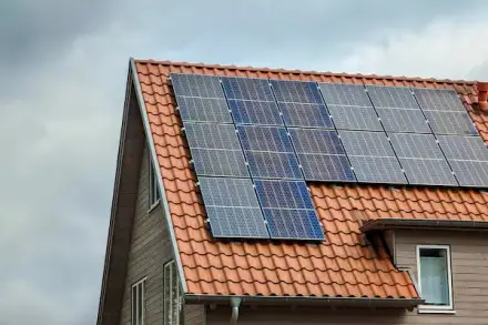 Foto von sovynex GmbH